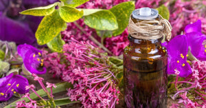 Clary Sage Essential Oil (Undiluted)